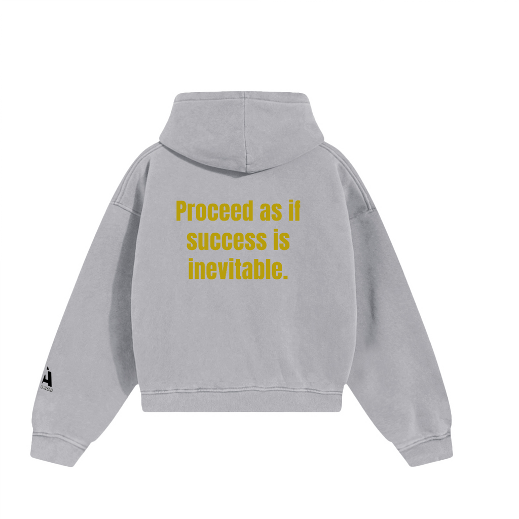 Unisex Worldwide Qualtiy M Hoodie(460GSM)