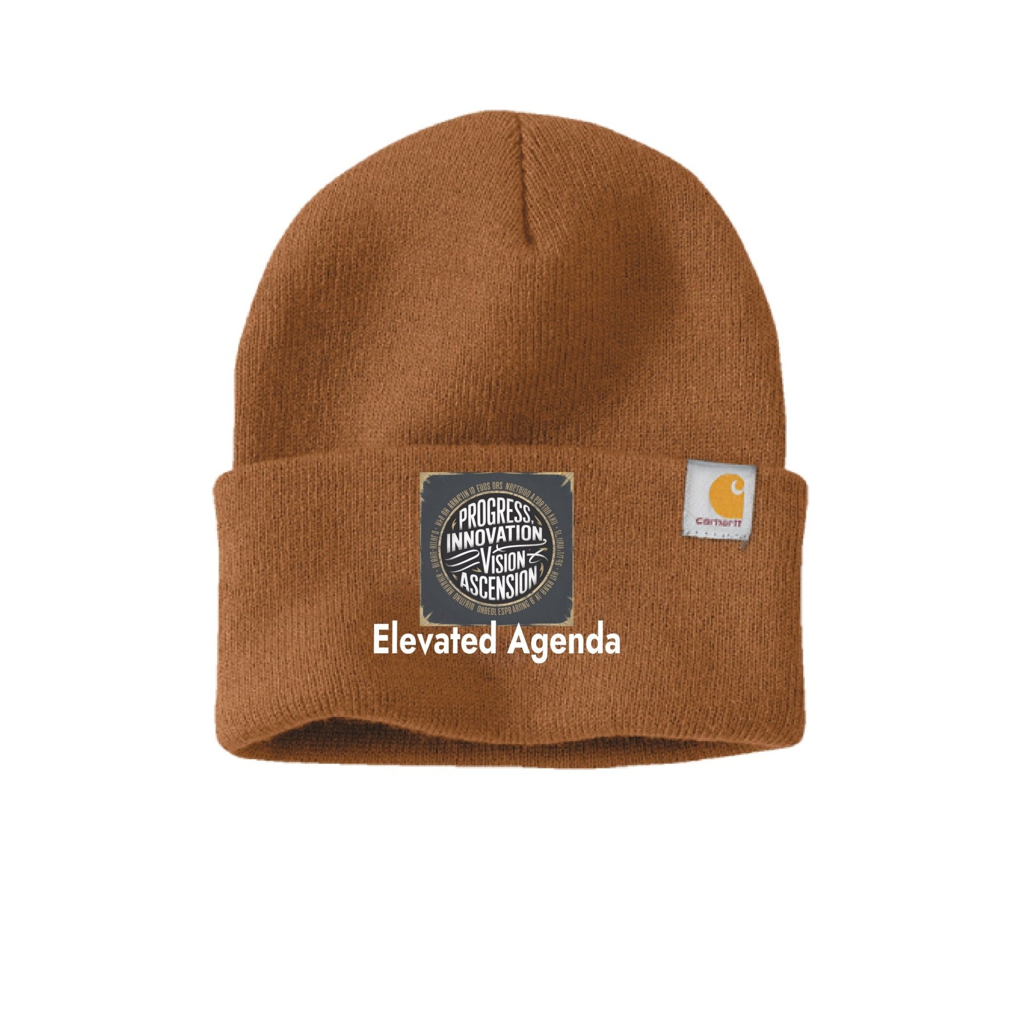 PROTECTED DOME CARHARTT - Elevated Agenda Carhartt Brown - FRONT19g649mds9zer2